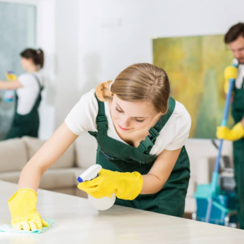 What-Does-Regular-Cleaning-Include